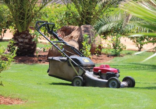 lawn-mower lawn-mower