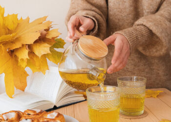 Quisque Sed Velit Aliquam, Mattis Enim Non Aliquet Lacus Vel Dignissim Justo